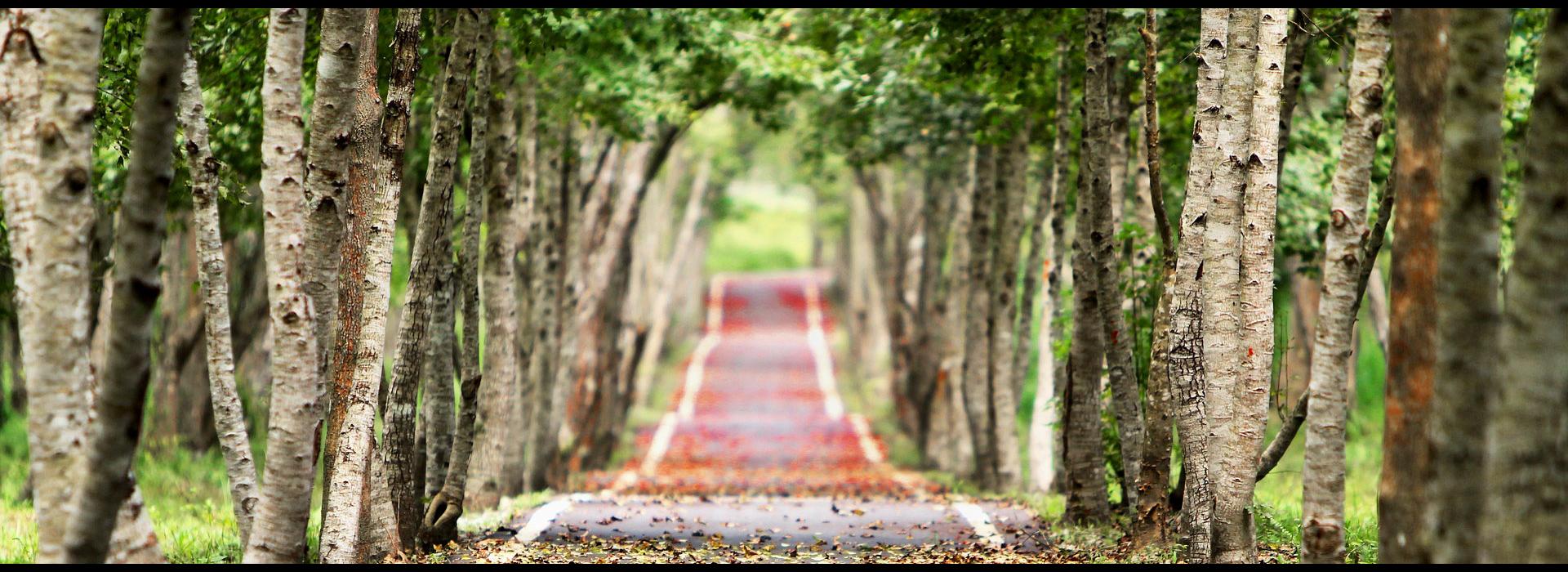 Autogrill France Feeling good on the move